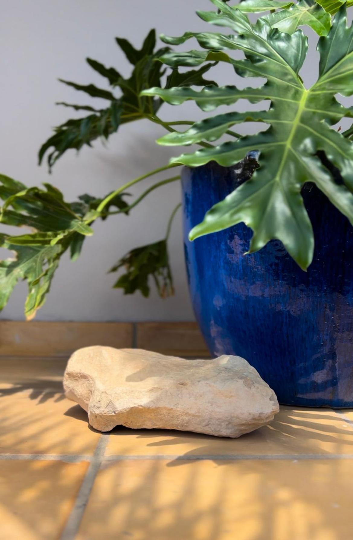 House Boho Palm With Private Heated Pool And Garden, 3 Bedrooms, Wi-Fi コラレホ エクステリア 写真