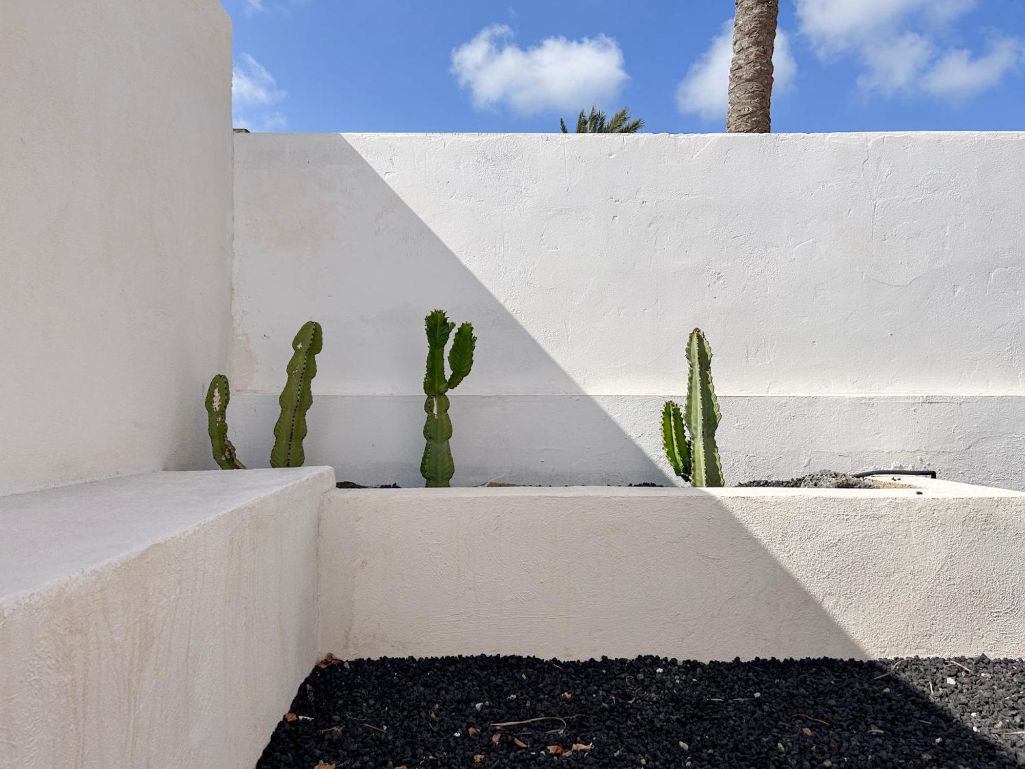 House Boho Palm With Private Heated Pool And Garden, 3 Bedrooms, Wi-Fi コラレホ エクステリア 写真